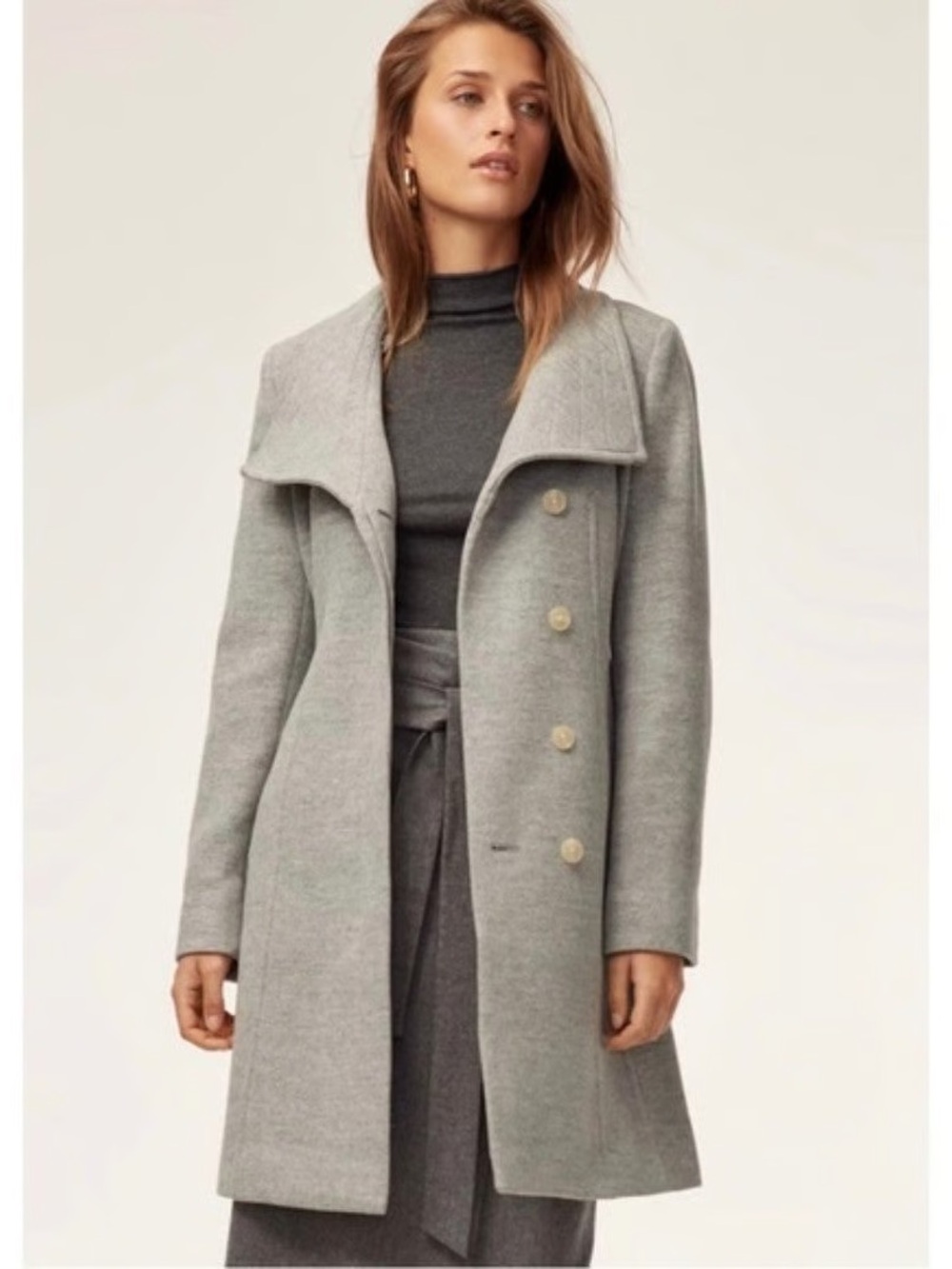 Aritzia / Babaton Connor Coat